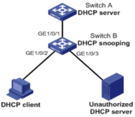 dhcp-snooping no-user-binding